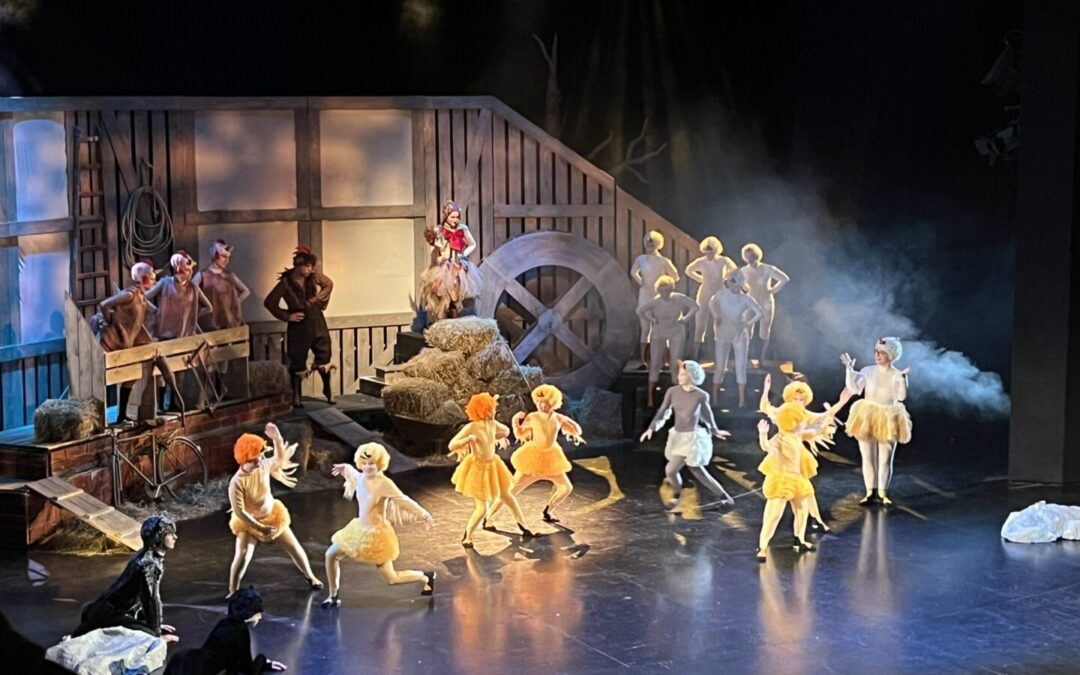 Ružno pače i Advent u Puli