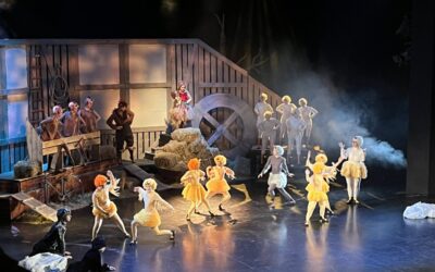 Ružno pače i Advent u Puli