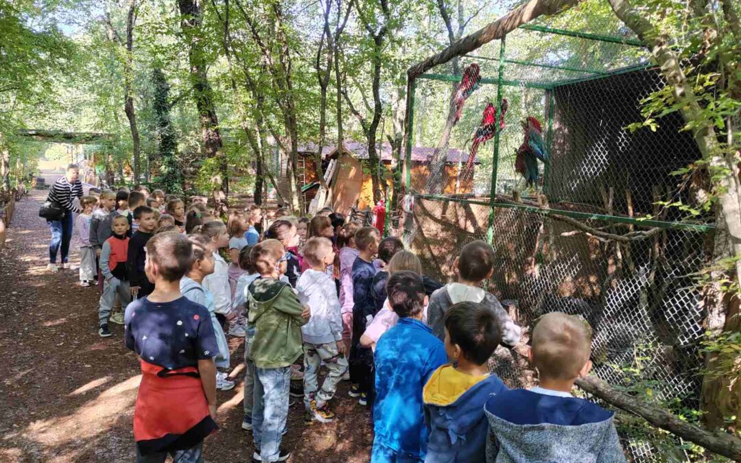 Terenska nastava učenika 1. razreda